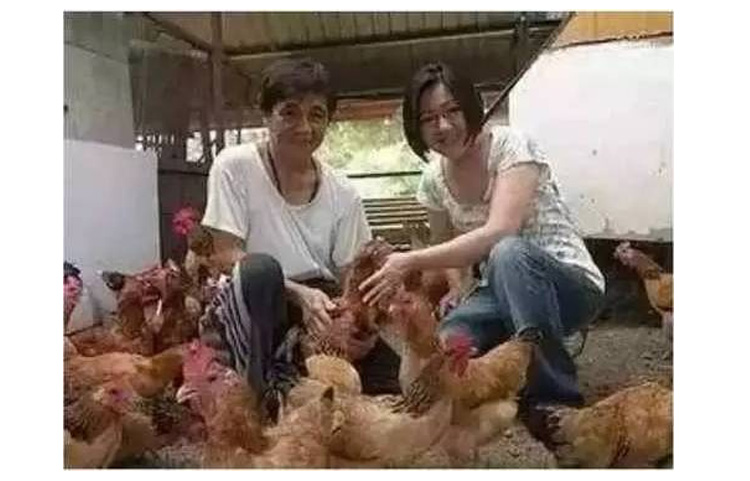 1525415210870641.jpg 未标题-1_17.jpg