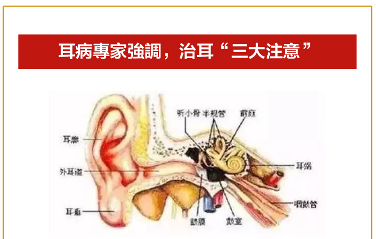 1525415833499861.jpg 未标题-1_19.jpg